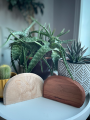 Bowl/Bench Scraper