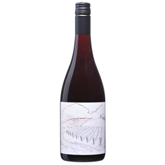 Greystone Vineyard Ferment Pinot Noir 2021