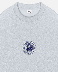 ART OF x Hibernian Single Colour Crest Sweat | Grey Football Jumper