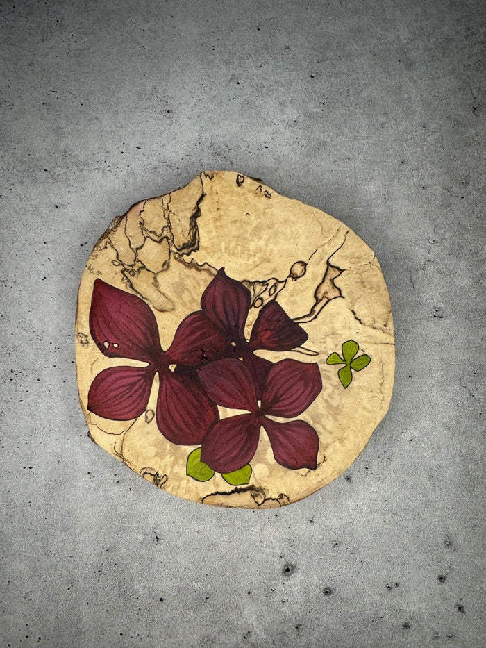 Painted Medallions by Brianna Reagan
