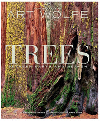 Trees Between Earth and Heaven