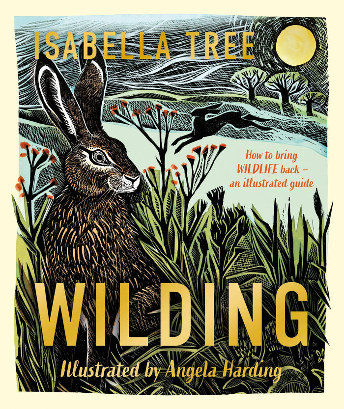 Wilding: How To Bring Wildlife Bac: